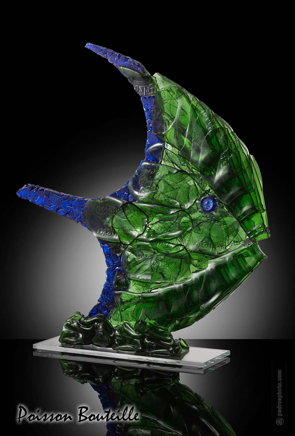 Poisson bouteille 3 | Oeuvre Pierre Coia