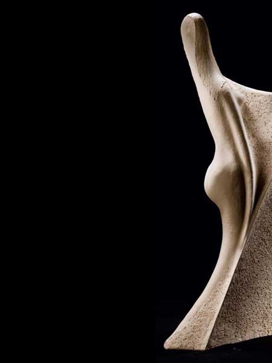 L'envol | Oeuvre Pierre Coia